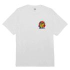 WHT